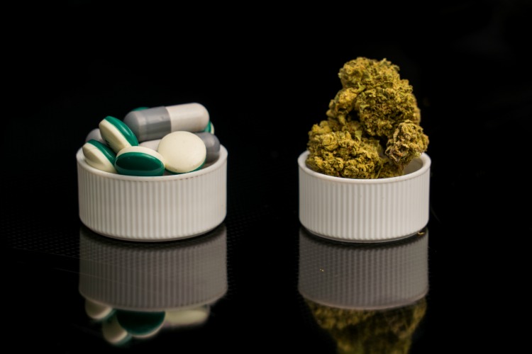 cannabis for chronic pain pills and cannabis