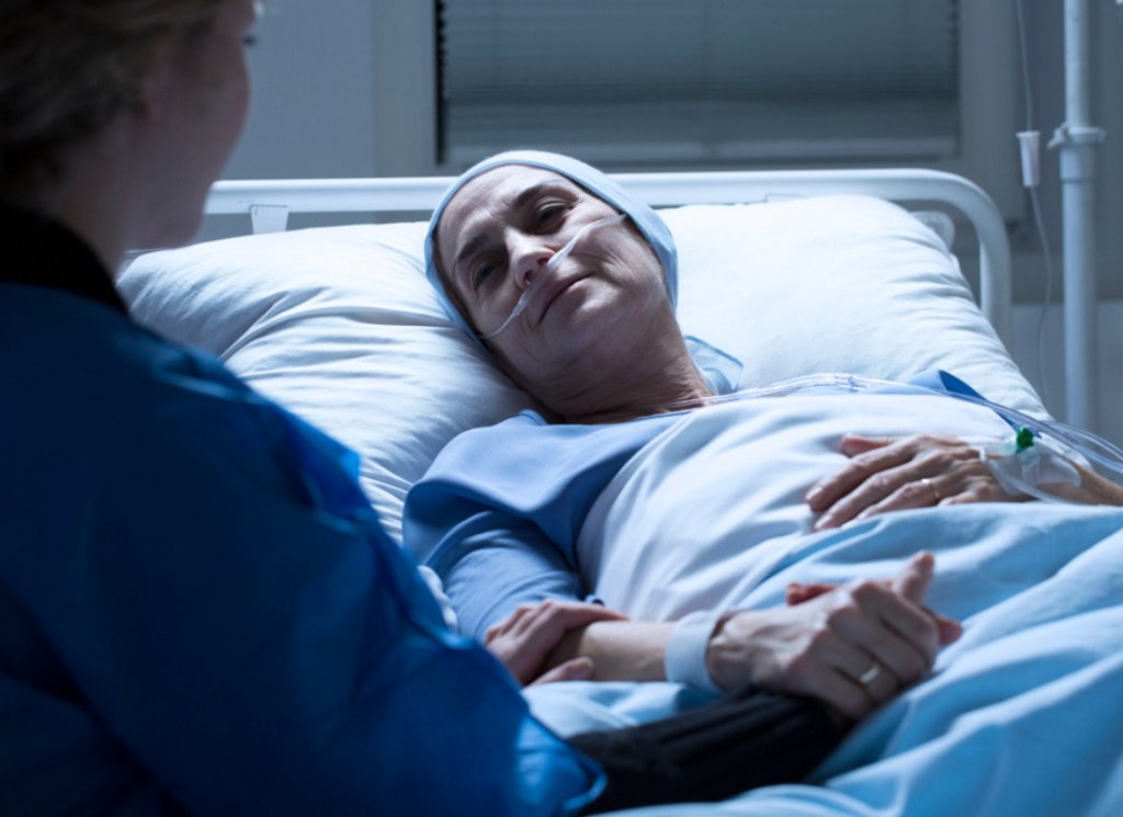 Cannabis for Palliative Care in Maryland