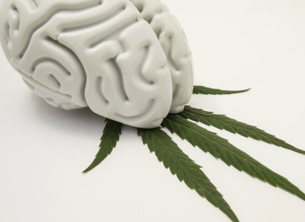 how does cannabis affect the brain
