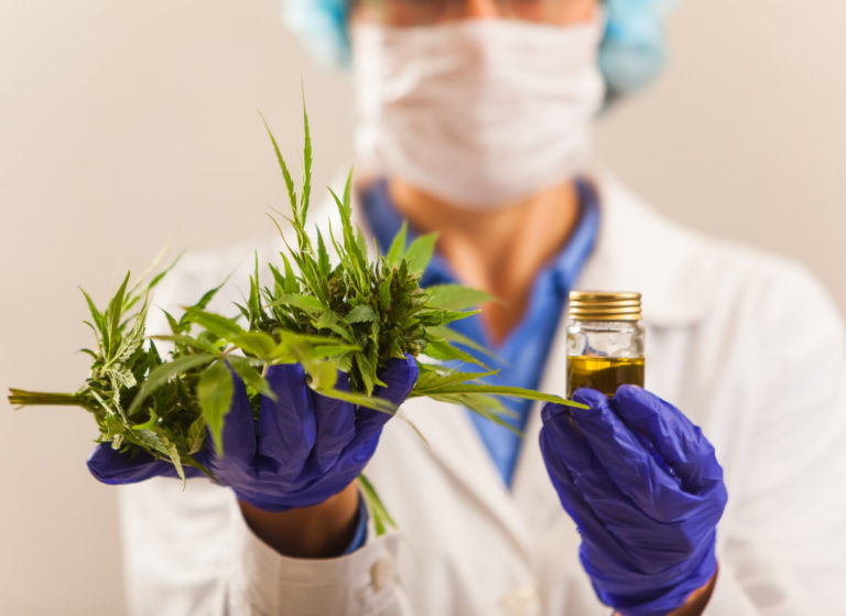 How does cannabis affect the immune system doctor