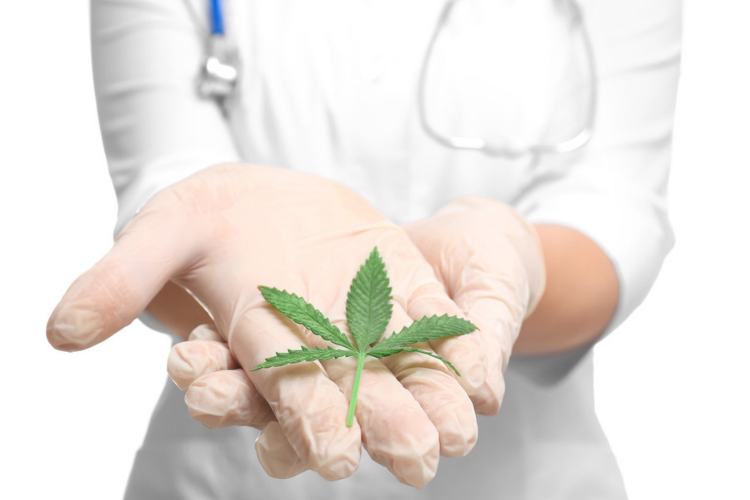 Cannabis for Palliative Care Nurse holding cannabis leaf