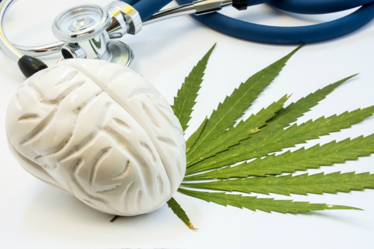 Cannabis for Alzheimers brain with cannabis leaf