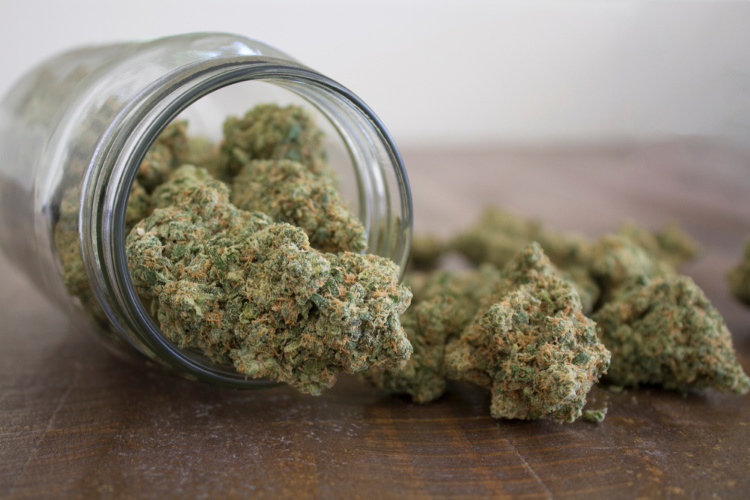 cannabis that doesn't get you high bud in jar