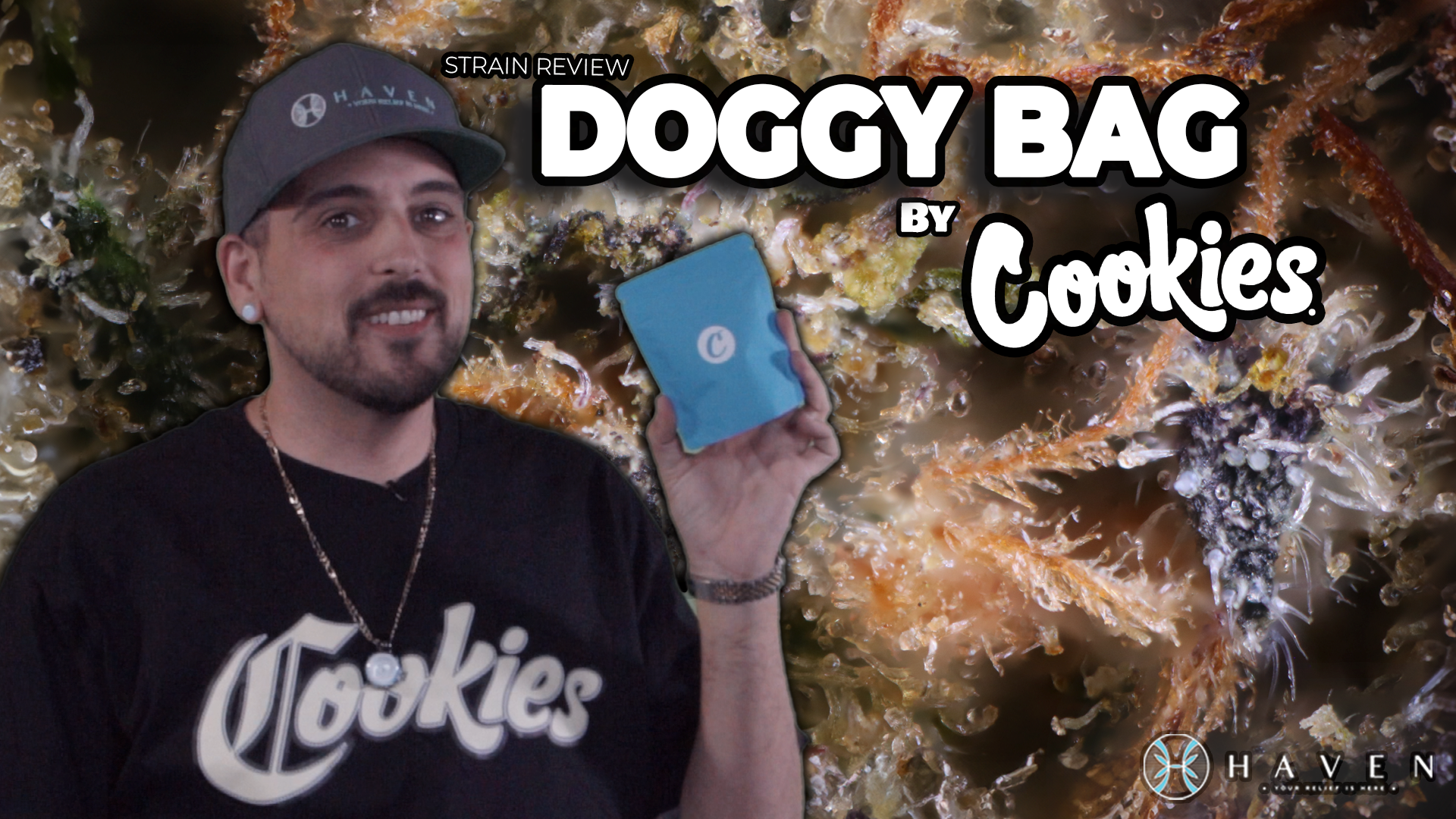 Doggy bag by Cookies - Haven