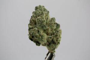 Florida Wedding by District Cannabis