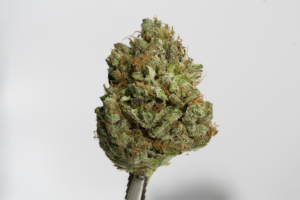 Lemon Layer Cake by Evermore