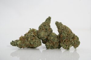 Sequoia Strawberry by Nature’s Heritage