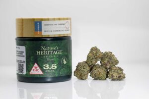 Chestah The Cheetah by Natures heritage