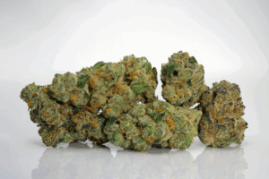 Fire Cracker by Cultivar