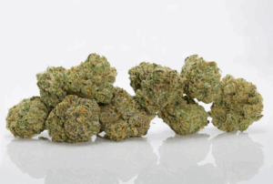 Hindu Mints by Grow West