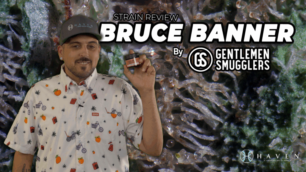 Bruce Banner by Gentlemen Smugglers SOTW