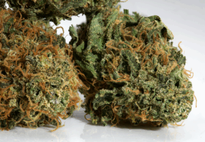 Ray Charles by Grassroots 