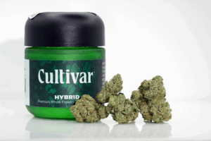 Sour OG Chem by Cultivar